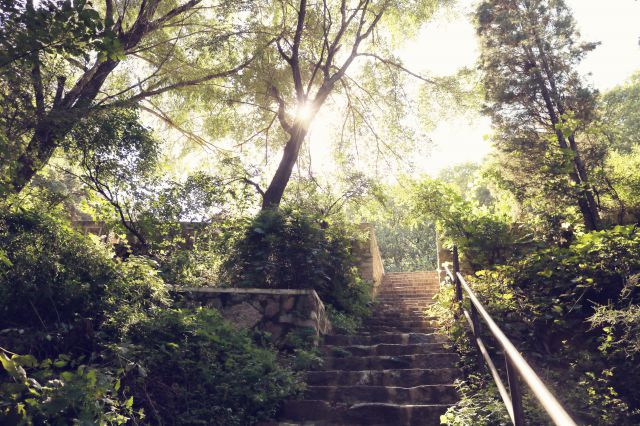 千山-圖片來源編輯網(wǎng)