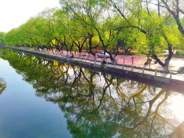 沈陽怡靜園-圖片來源編輯網(wǎng)