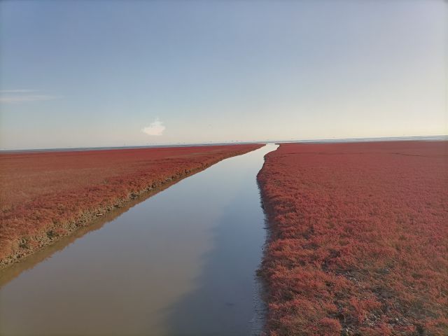 紅海灘-圖片來源編輯網(wǎng)