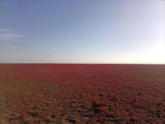 紅海灘-圖片來源編輯網(wǎng)