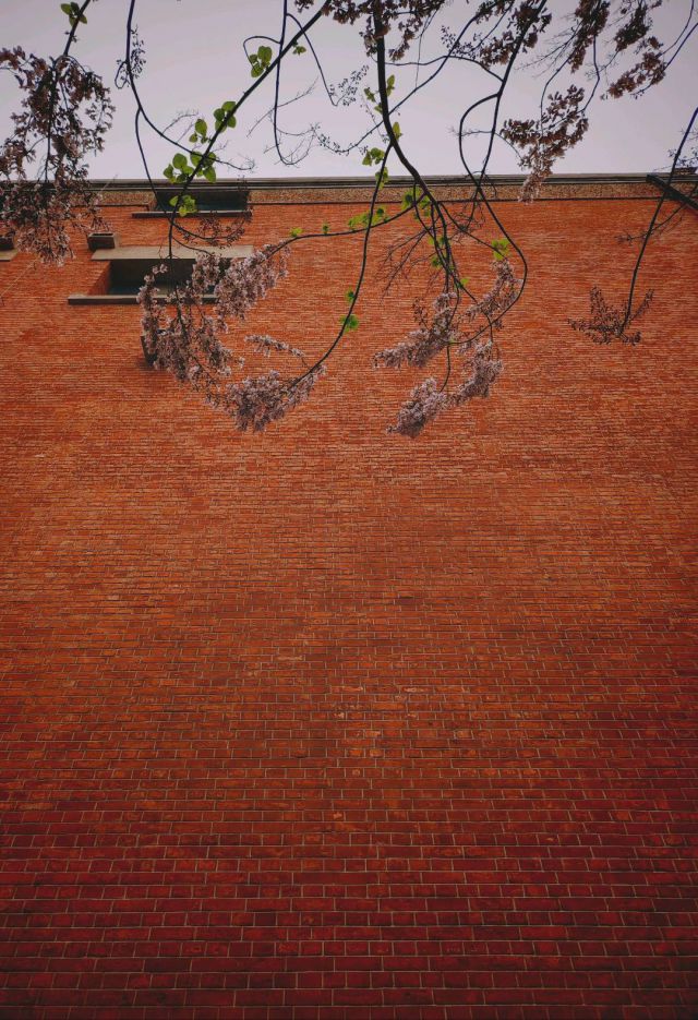 武漢-圖片來源編輯網(wǎng)