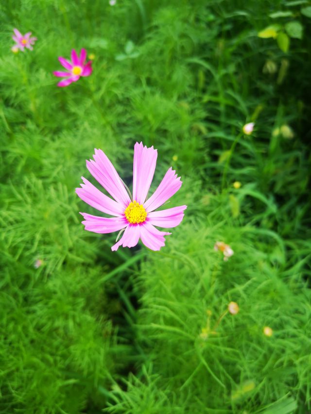 圖片來源-編輯網(wǎng)