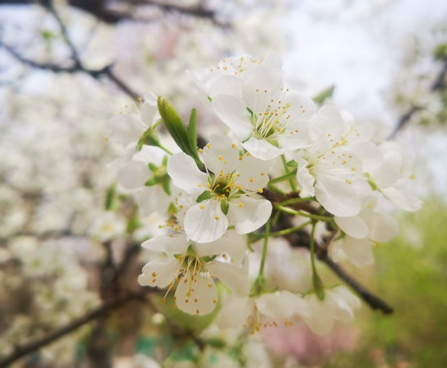 QQ截圖20240902172231